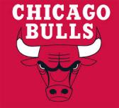 Chicago bulls other logo