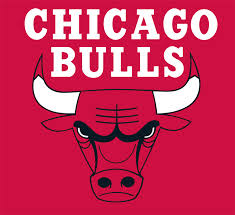 Chicago bulls other logo
